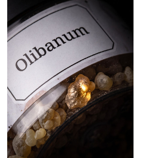 Encens Oliban en Résine – Larmes de Somalie