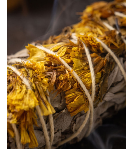 Sauge Blanche & Fleurs de Sinuata Jaunes gros plan