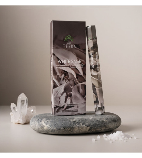 Encens Indien Sauge Blanche Terra Sans Charbon avec quartz