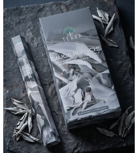Encens Indien Sauge Blanche Terra Sans Charbon et sauge plante