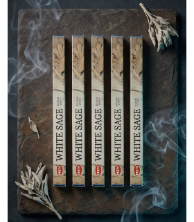 Encens Sauge Blanche HEM - Lot de 5 boites