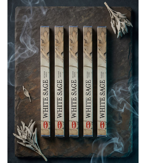 Encens Sauge Blanche HEM - Lot de 5 boites